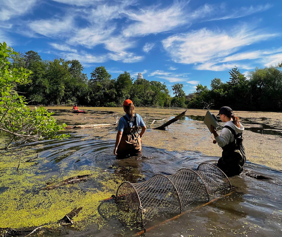 Fiba Eurocup Basketball